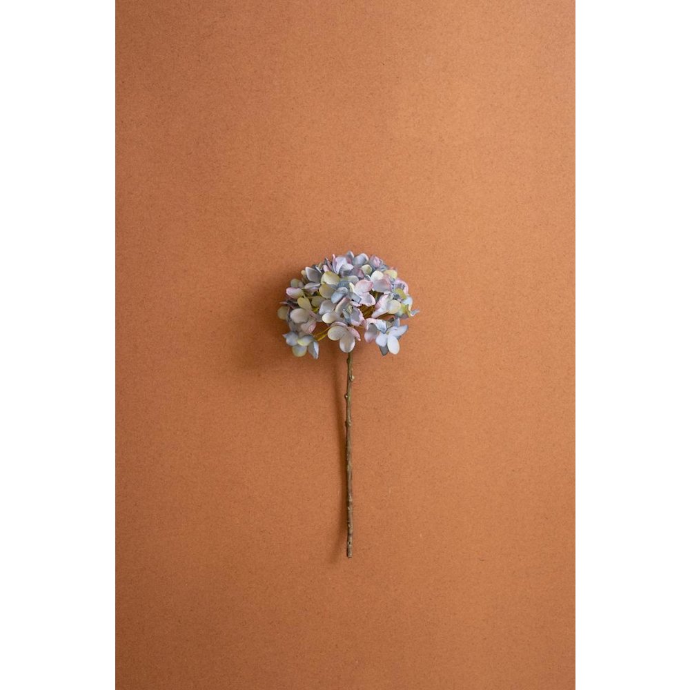 Botanica #2907
