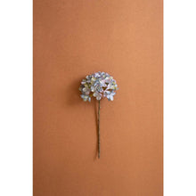 Botanica #2907