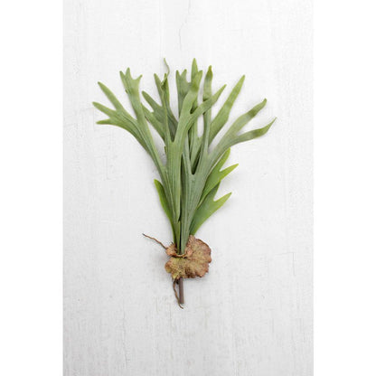 Artificial Staghorn Fern Stem