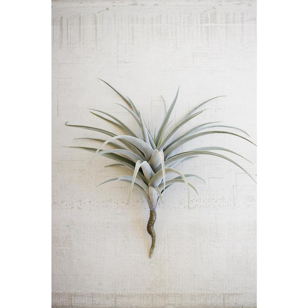 Giant Artificial Airplant