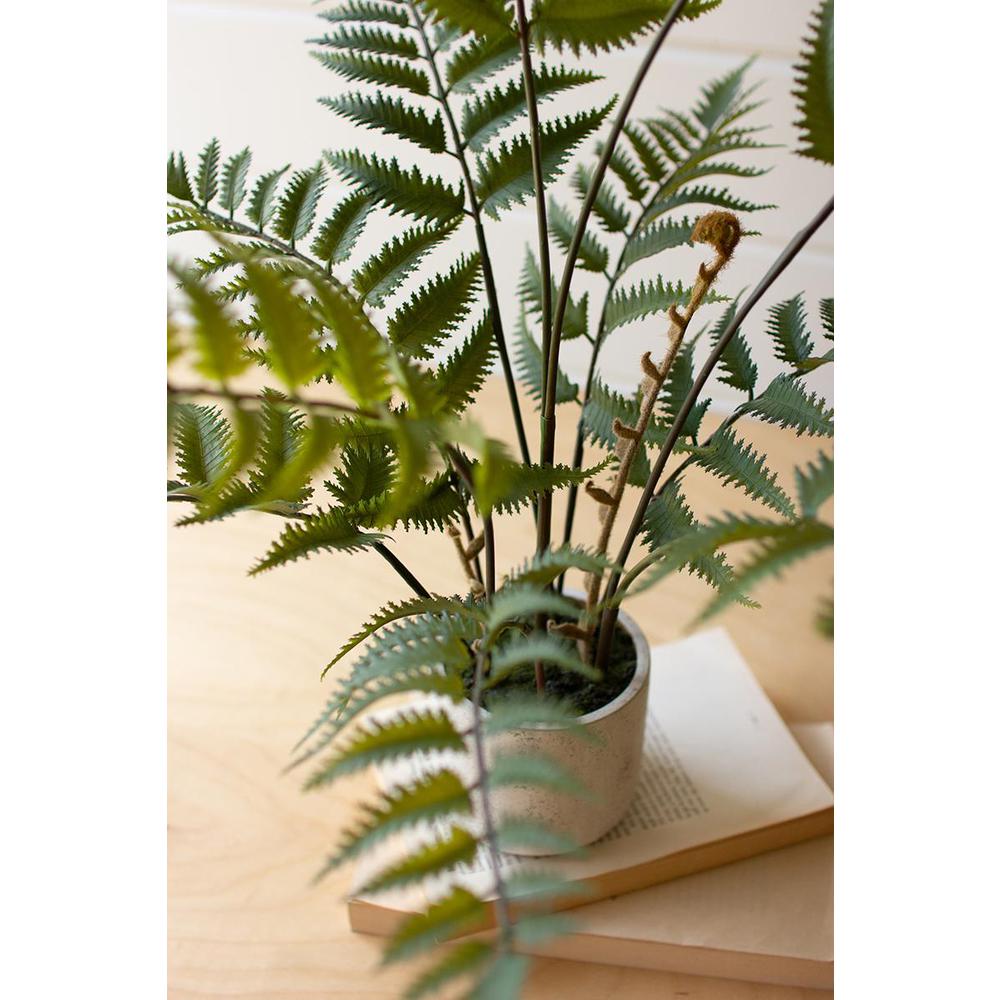 Artificial Fern In A Cement Pot