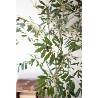 Tall Artificial Olive Tree In A Black Plastic Pot