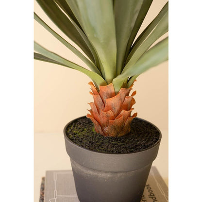 Artificial Sisal Plant In Black Plastic Pot - 27"