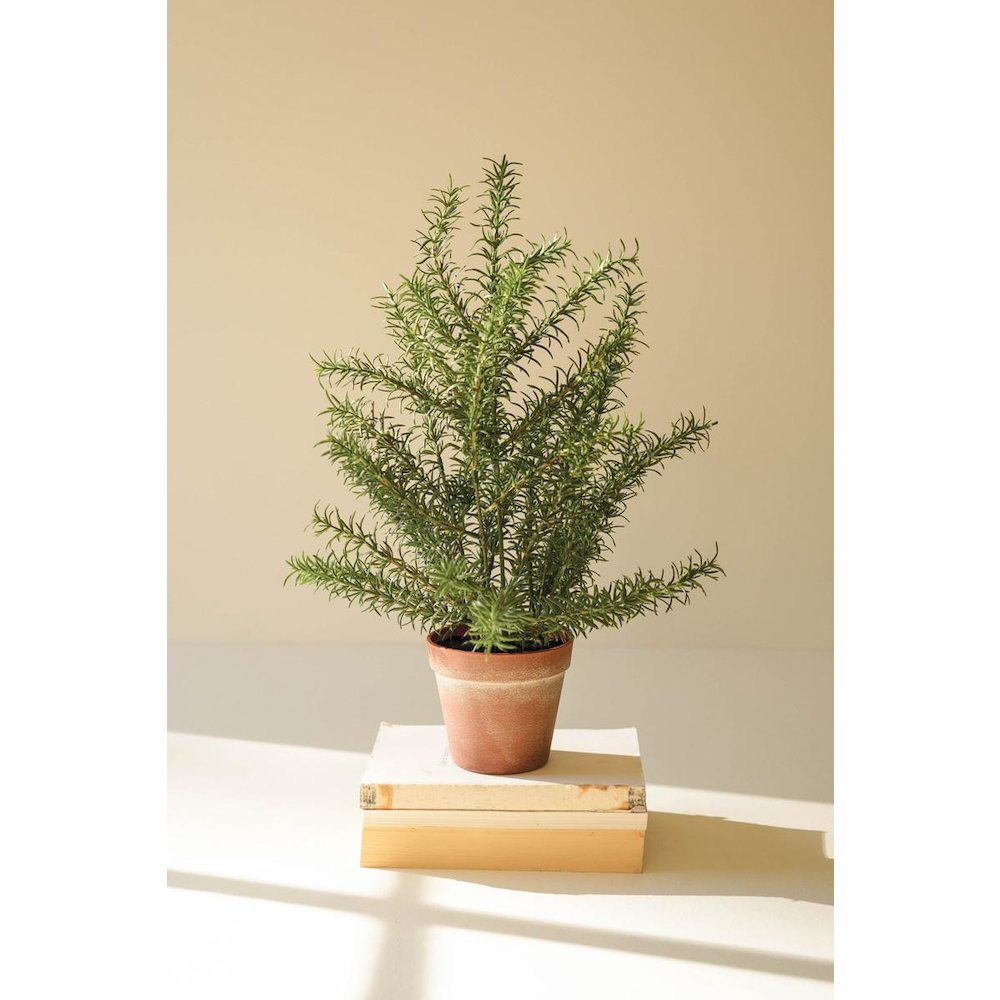 Artificial Rosemary Plant In A Faux Terracotta Pot