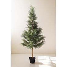 Artificial 60" Cypress in Plastic Pot
