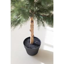 Artificial 60" Cypress in Plastic Pot