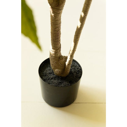 Artificial 4' Japanese Aralia in Plastic Pot