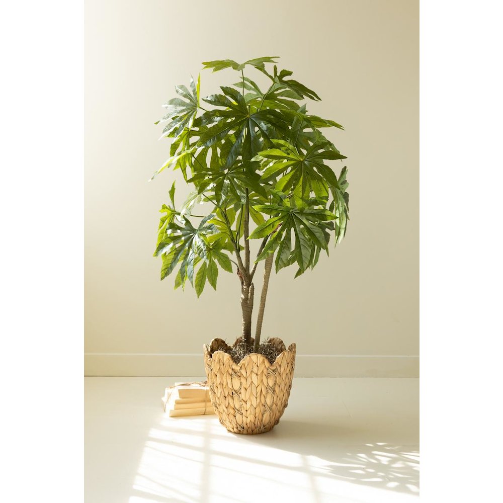 Artificial 4' Japanese Aralia in Plastic Pot