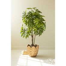 Artificial 4' Japanese Aralia in Plastic Pot