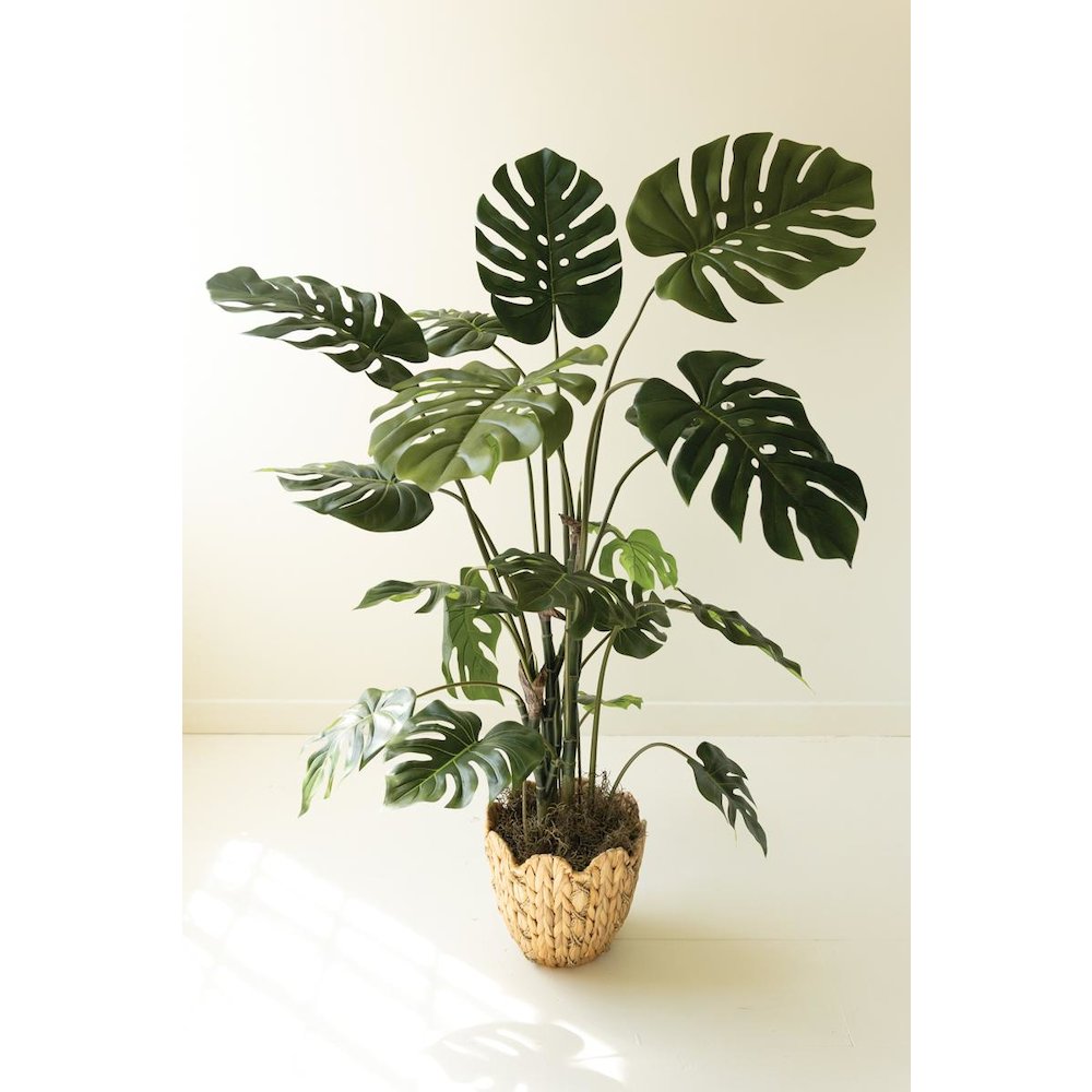 Artificial Potted Grand Monstera Tree in a Black Plastic Pot
