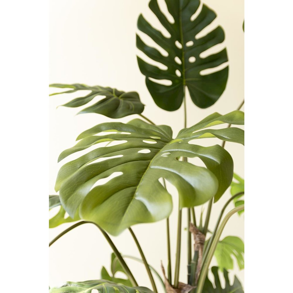 Artificial Potted Grand Monstera Tree in a Black Plastic Pot