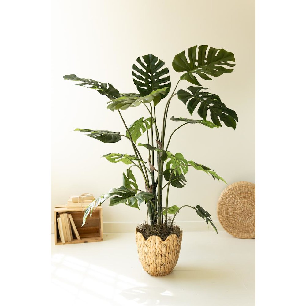 Artificial Potted Grand Monstera Tree in a Black Plastic Pot