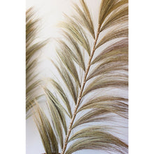Decorative Fan Palms with Bamboo Stems