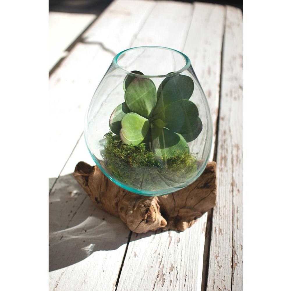 Blown Glass Bowl On Driftwood Base - Large