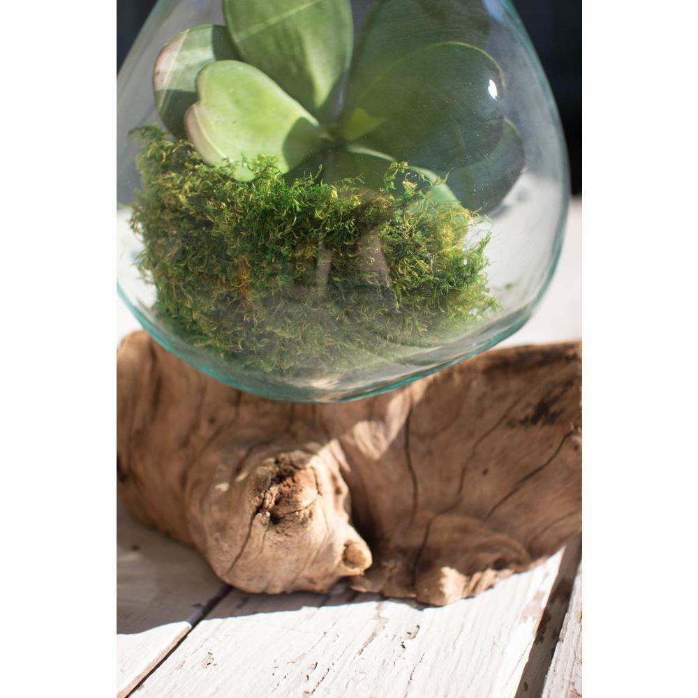 Blown Glass Bowl On Driftwood Base - Large
