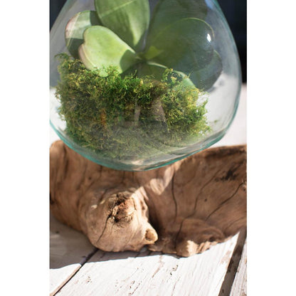 Blown Glass Bowl On Driftwood Base - Large