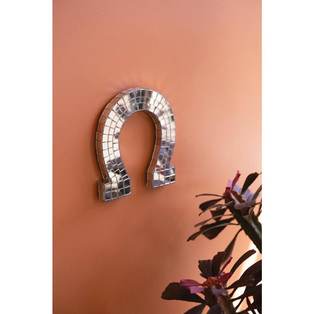 Disco Mirror Horseshoe
