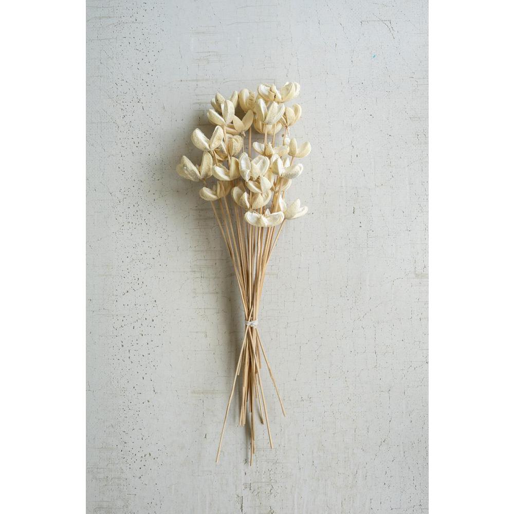 Bundle Of 24 Bleached Bullet Flowers On Stems