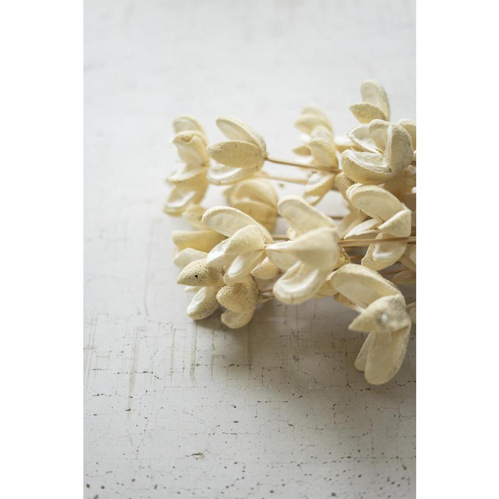 Bundle Of 24 Bleached Bullet Flowers On Stems