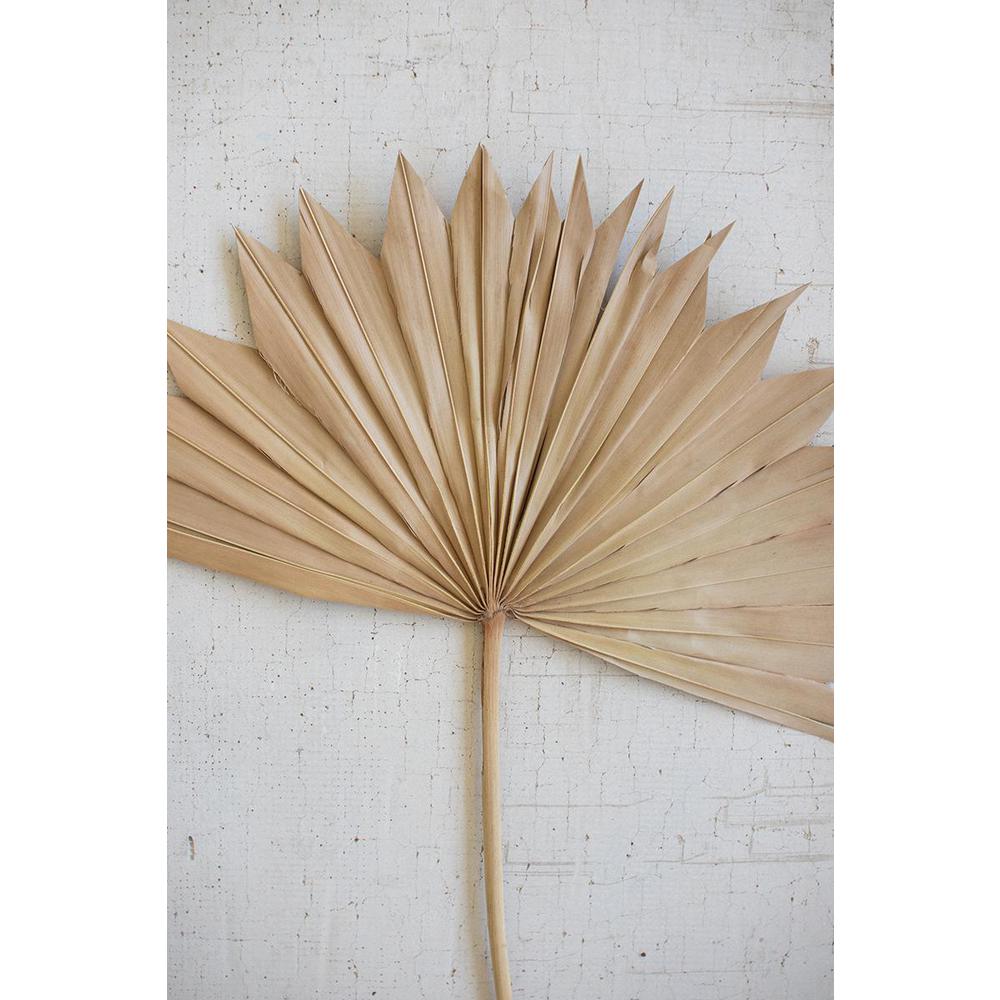 Large Natural Sun Palm Spear
