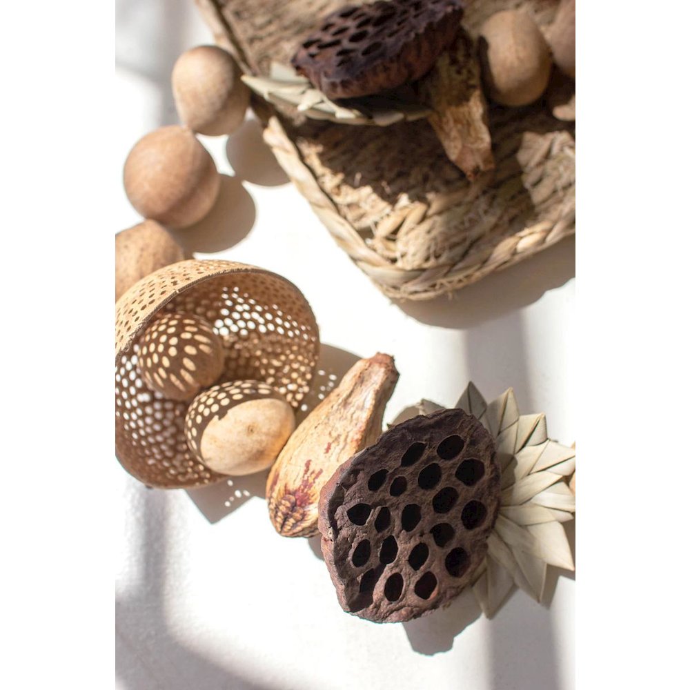 Mixed Dried Botanical Garland