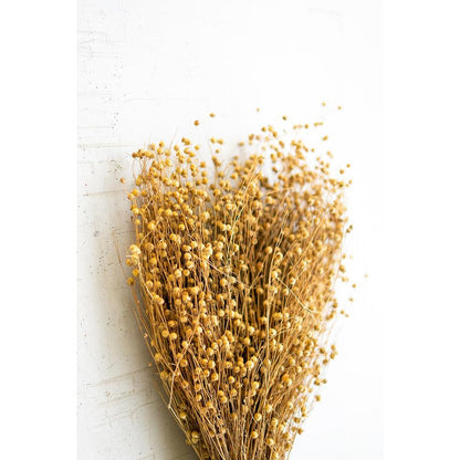 Bundle Of Natural Lino Stems