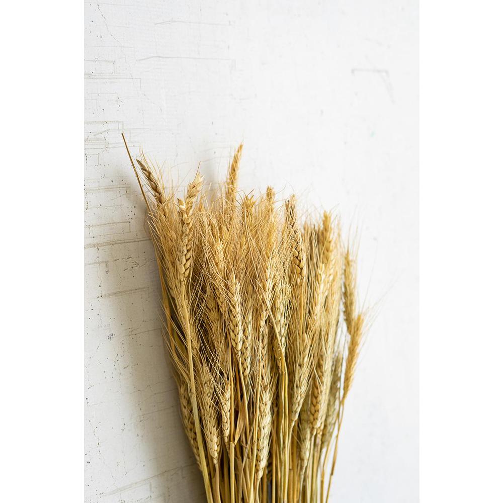 Bundle Of Natural Wheat Stems