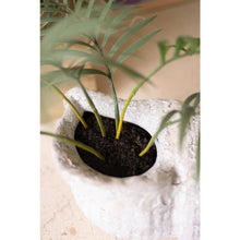 Terracotta Conch Shell Planter - White Glaze