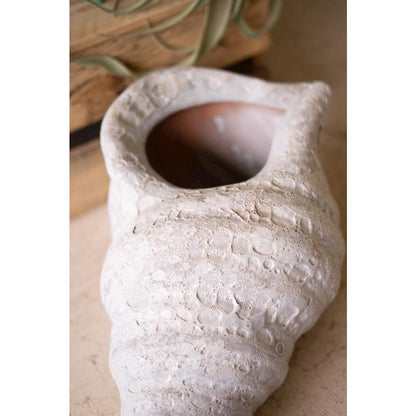 Terracotta Conch Shell Planter - White Glaze