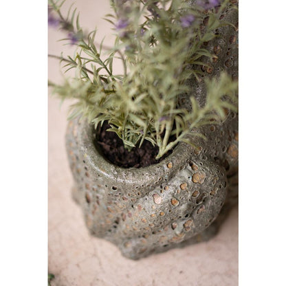 Terracotta Frog Planter with Rustic Glaze