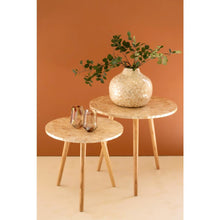 Set of Two Wooden Accent Tables with Capiz Shell Detail #1