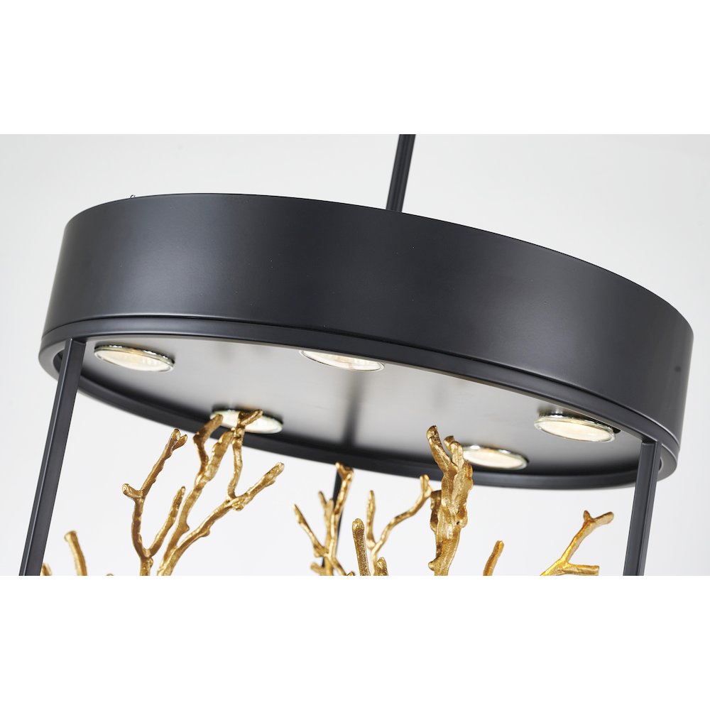 5-Light Matte Black Pendant With Gold Branch Accents