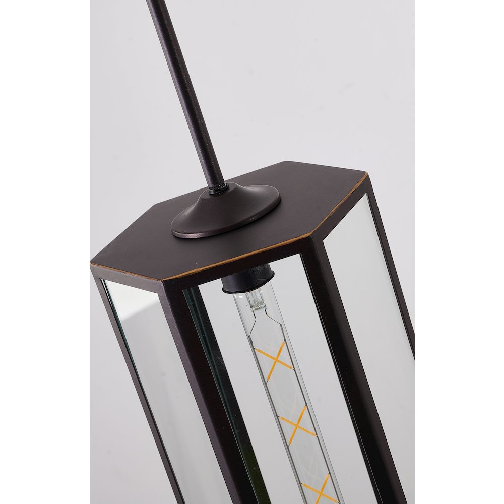 1-Light Bronze Black Outdoor Pendant With A Clear Glass Shade