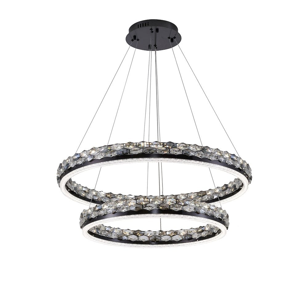 2-Light Stain Black LED Pendant With Crystal Accents