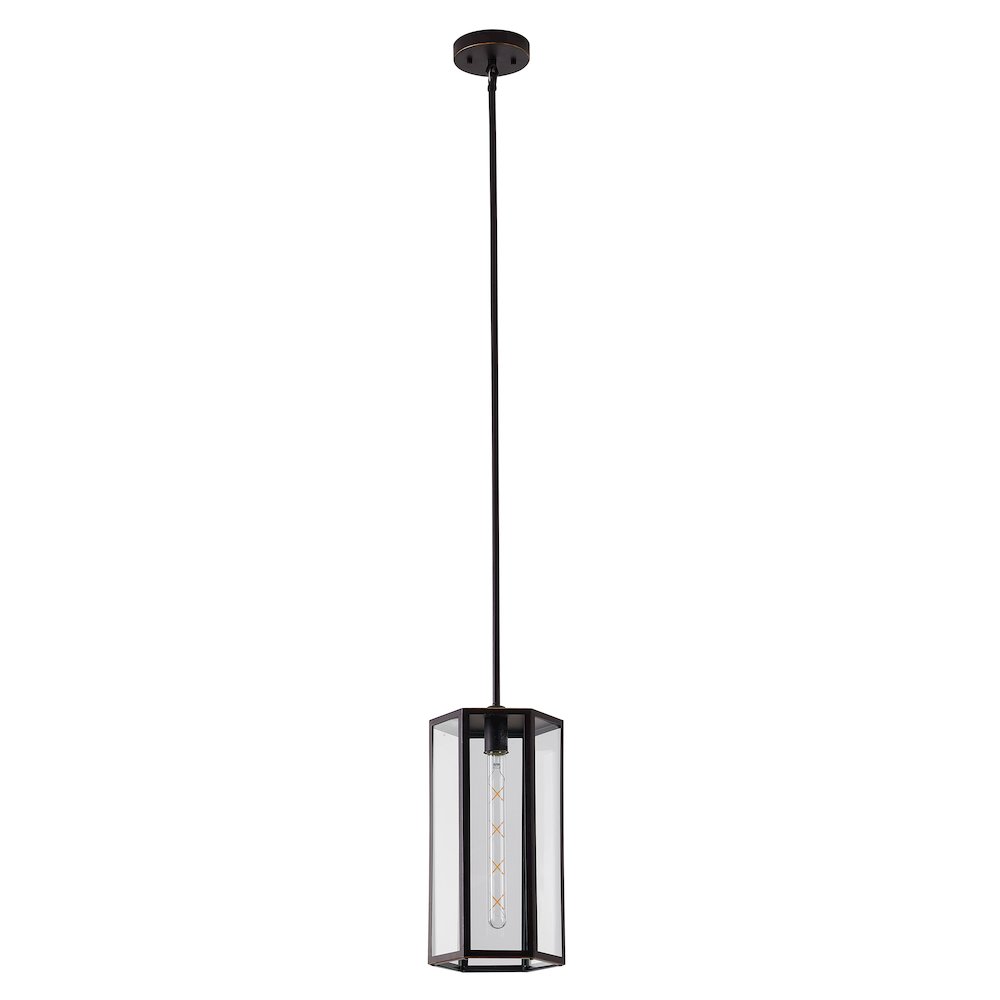 1-Light Bronze Black Outdoor Pendant With A Clear Glass Shade