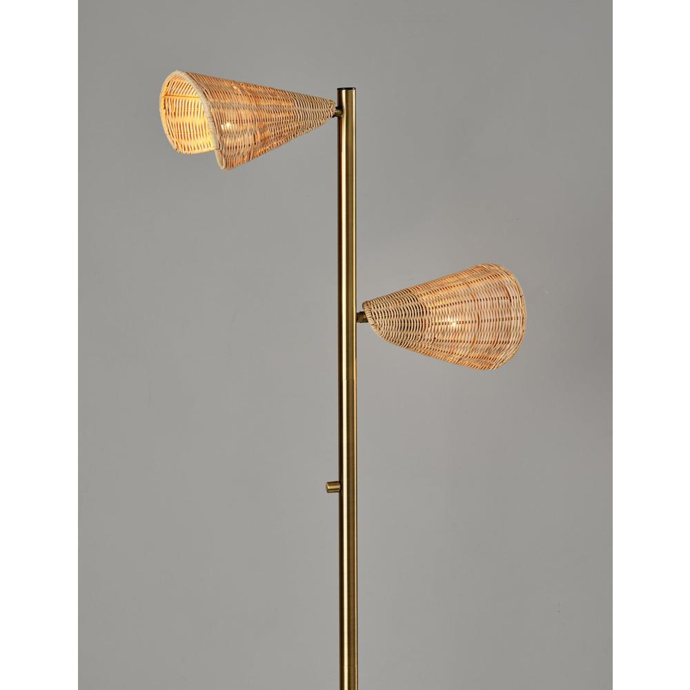 Cove Tree Lamp