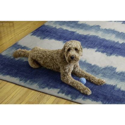 Outdoor Washable Apopka Ivory & Blue 5' X7', Rug