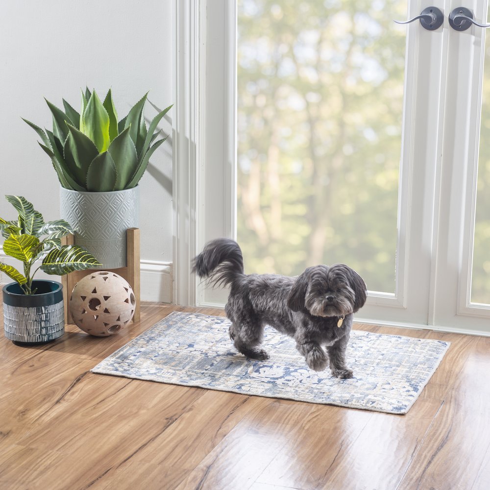 Outdoor Washable Ocala Navy & Sand 2' X 3', Rug