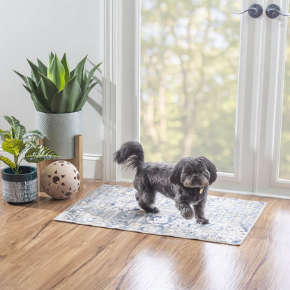 Outdoor Washable Ocala Navy & Sand 2' X 3', Rug