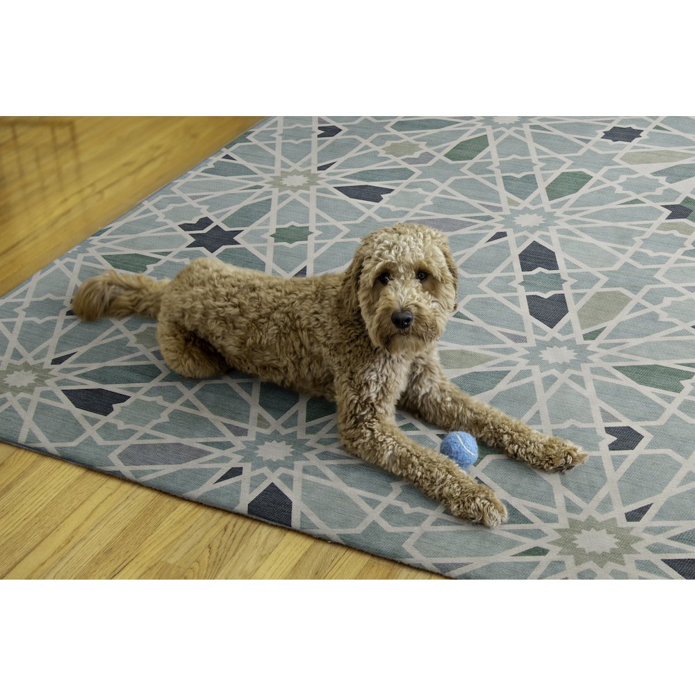 Outdoor Washable Deltona Green & Ivory 7' X 9', Rug