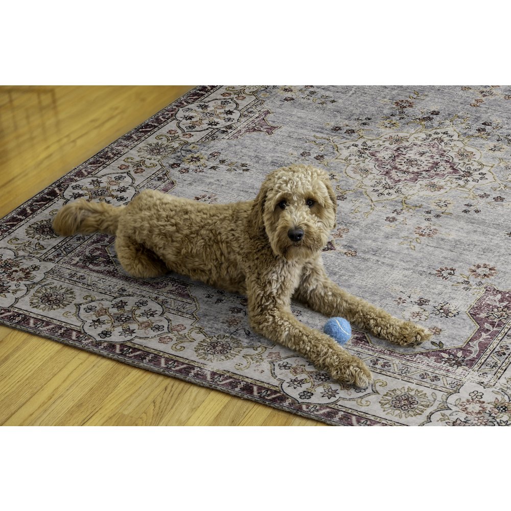 Washable Lennox Pale Blue/Ivory 5x7, Rug