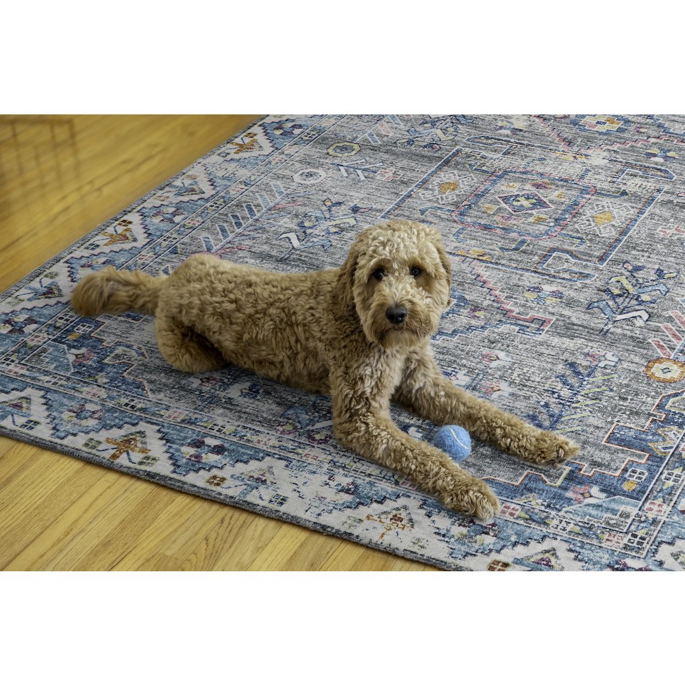 Washable Barron Grey/Green 5x7, Rug