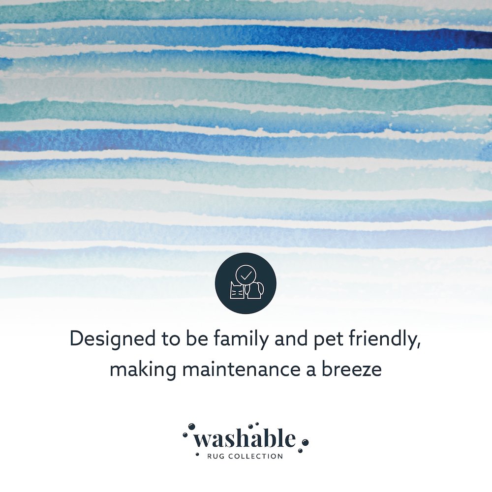Washable Janna Ivory/Blue 2x3, Rug