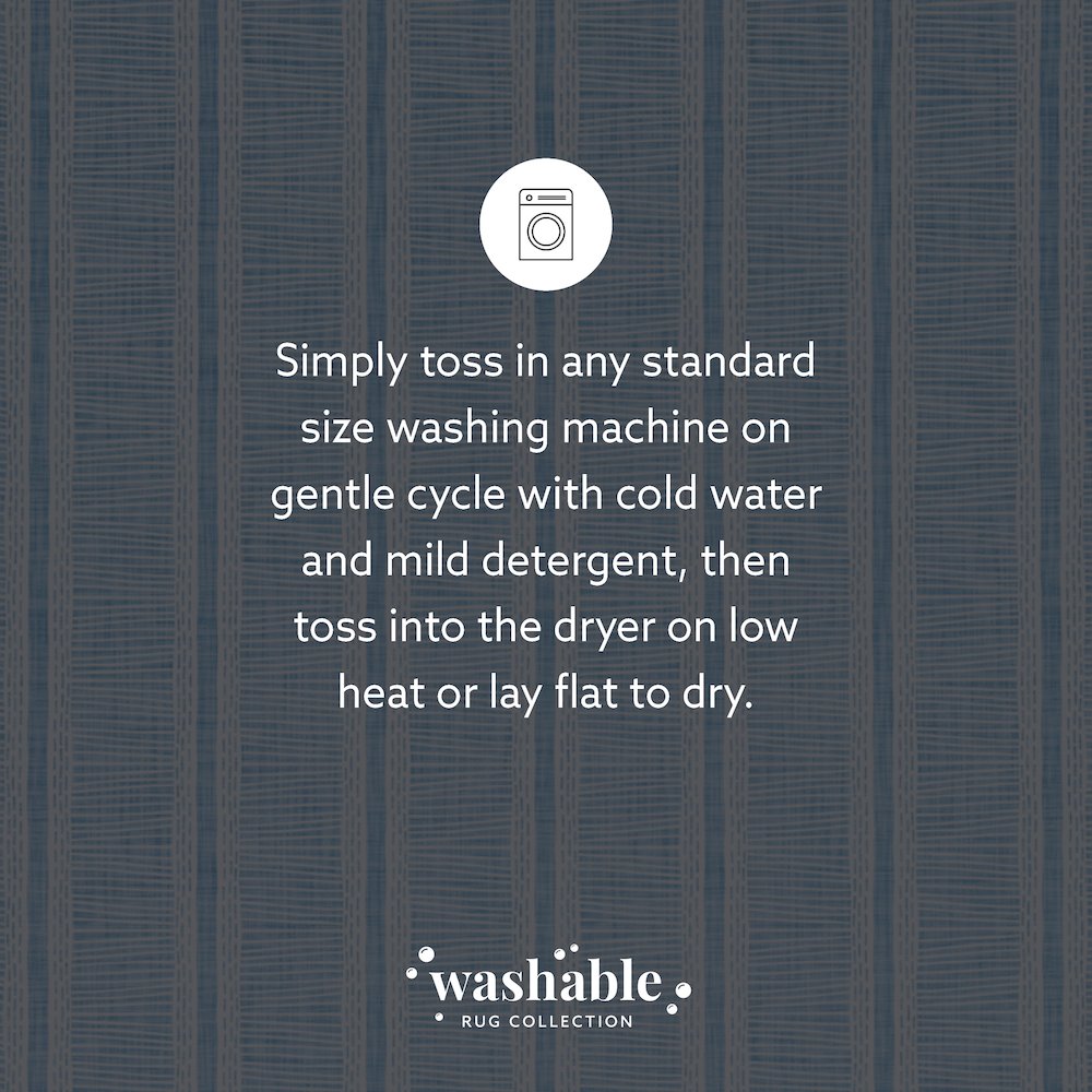 Washable Wallen Ivory/Blue 5x7, Rug