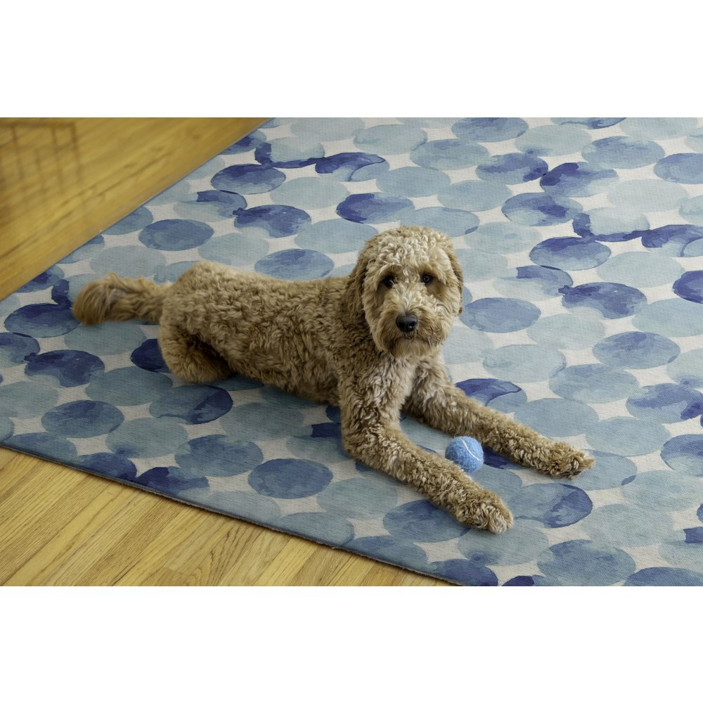 Outdoor Washable Lakeland Blue & Ivory 5' X7', Rug