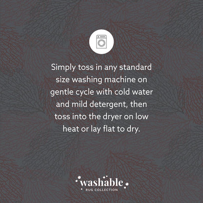 Washable Haylee Ivory/Coral 5x7, Rug
