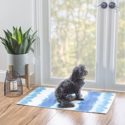 Outdoor Washable Apopka Ivory & Blue 2' X 3', Rug