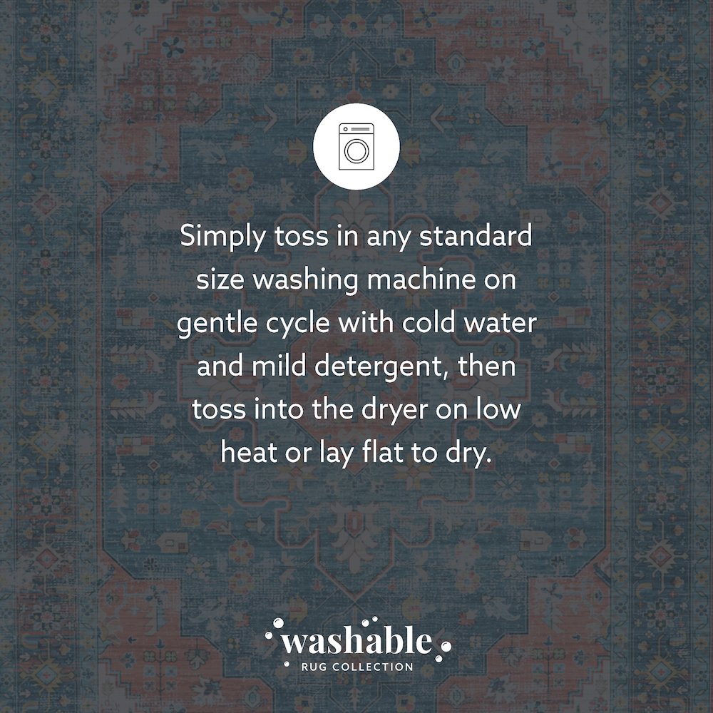 Washable Markum Teal/Rust 5x7, Rug