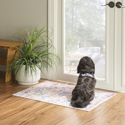 Washable Micah Pink/Gold 2x3, Rug