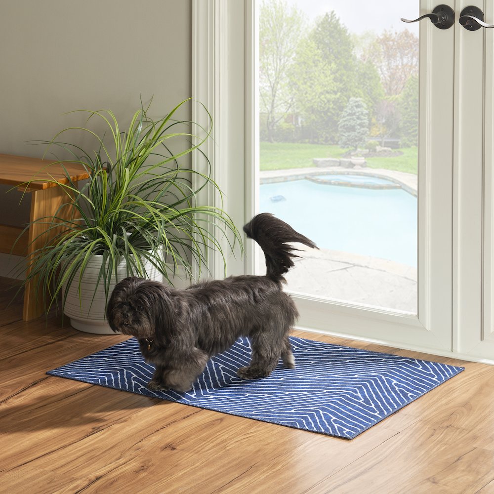Washable Fuller Blue/Ivory 2x3, Rug